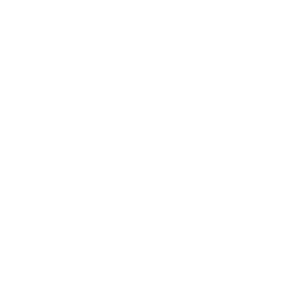 Vintage Mecanic